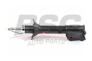 BSG 40300010 Amortisör Arka Sağ
