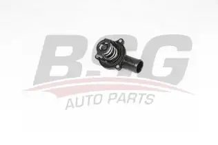 BSG 90126050 Termostat Komple