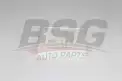 BSG 75145012 Polen Filtresi