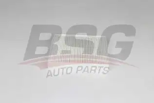 BSG 75145012 Polen Filtresi