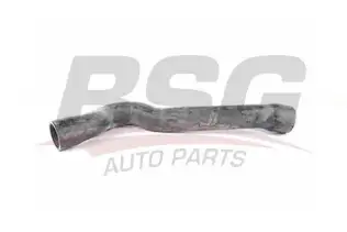 BSG 70720075 Turbo Hortumu