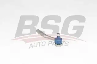 BSG 70310069 Rot Başı Sağ