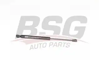 BSG 15980033 Motor Kaput Amortisörü