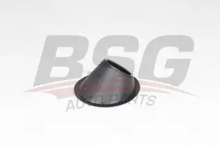 BSG 25921002 Sis Far Çerçevesi Sol