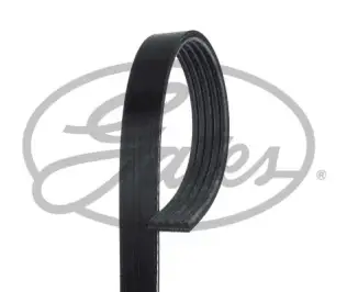 GATES 5PK692SF V Kayış