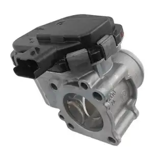 Gaz Kelebeği  PIERBURG 7.09460.59.0