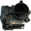 Gaz Kelebeği  PSA ORJINAL V862419080
