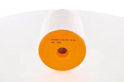 BOSCH F026400261 Hava Filtresi - 1. Görsel