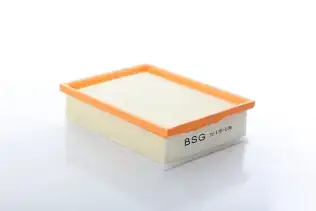 Hava Filtresi  BSG 70-135-038