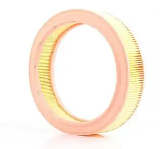 Hava Filtresi  BSG 90-135-003