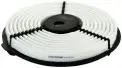 Hava Filtresi  FUJI FH25006P