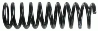 SACHS 996069 Helezon Yayı Arka