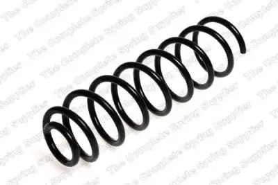 Helezon Yayı Arka BSG 90-305-026 - 1. Görsel