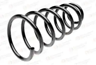 Helezon Yayı Arka GUNSAN G010524