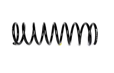 Helezon Yayı Arka BSG 30-305-020 - 1. Görsel