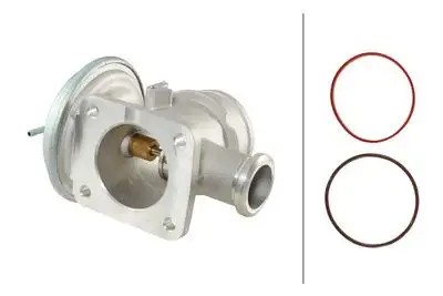 HELLA 6NU014864091 Egr Valfi M47/M57/M67-E38/E39/E46/E53/E65 - 1. Görsel