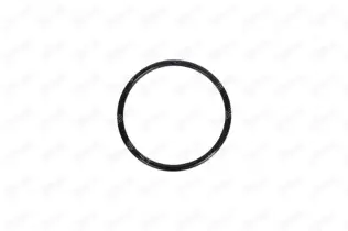 IBR 11069 Gaz Kelebeği Contası 63MM X 4MM