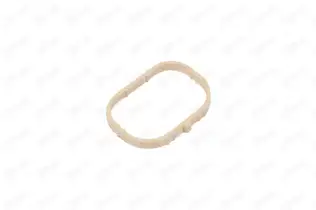 IBR 11631 Emme Manifold Contası