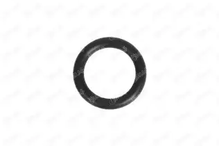 IBR 19699 Emme Manifold Contası 29.5MM X 6.25MM
