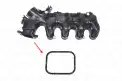 IBR 19936 Emme Manifold Contası
