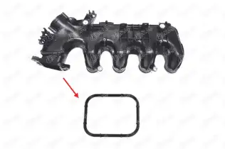 IBR 19936 Emme Manifold Contası