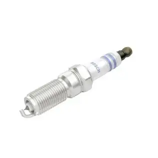 BOSCH 0242236663 Buji