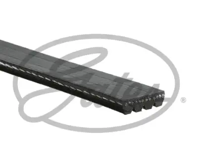 GATES 4PK718 V Kayışı - 3. Görsel
