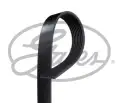 GATES GTS 8PK1230 V Kayışı