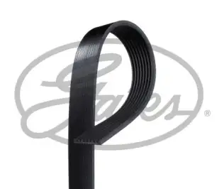 GATES 8PK1230 V Kayışı