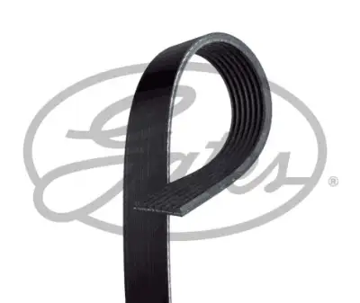 GATES 7PK1165 V Kayışı - 1. Görsel