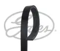GATES 5PK1148 V Kayışı