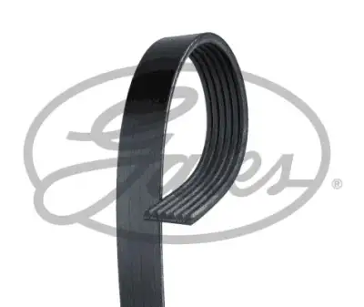 GATES 6PK2520 V Kayışı - 1. Görsel