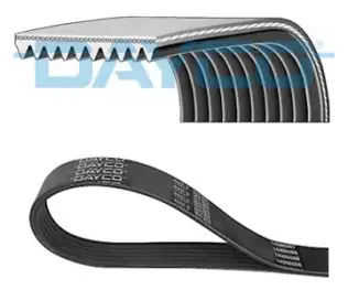 Kanallı V Kayışı DAYCO 10PK1512SHD