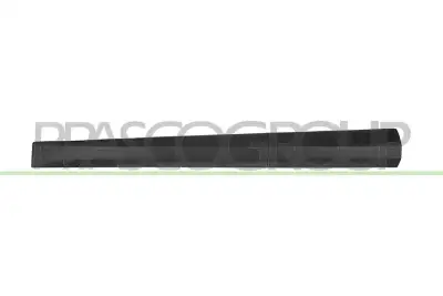 Kapı Bandı Ön Sağ RENAULT ORJINAL 801860005R - 1. Görsel