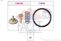 MAGNETI MARELLI 359001200620 Termostat