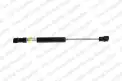 Motor Kaput Amortisörü Sağ veya Sol BSG 95-980-007