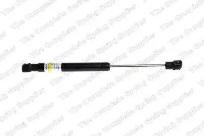 Motor Kaput Amortisörü Sağ veya Sol BSG 95-980-007 - 1. Görsel