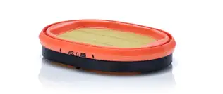 OEM 01094006 Hava Filtresi (İkincil Eleman)