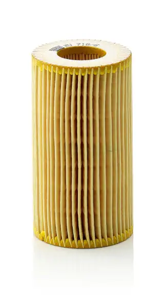 Fren Disk Balata Ön SWAG 33 10 2631