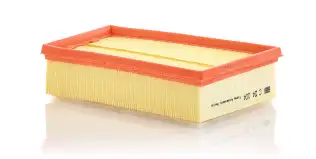 OEM 165463205R Hava Filtresi