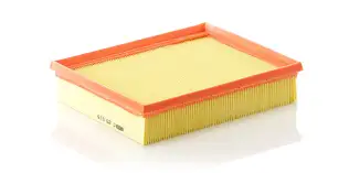 OEM 165464616R Hava Filtresi
