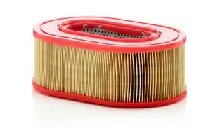 OEM 5021188061 Hava Filtresi