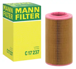 OEM 6000634724 Hava Filtresi