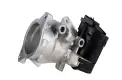FAE 56032 Egr Valfi