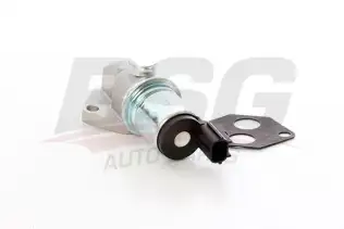 BSG 30836010 Rolantı Ayar Valfi