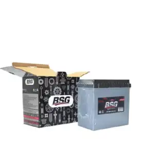 BSG 99997006 Akü