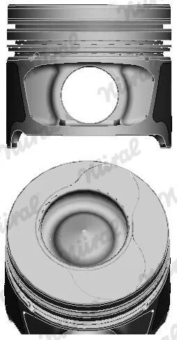 Piston (76.00MM-1.00)  NÜRAL 87-71831-100 - 1. Görsel