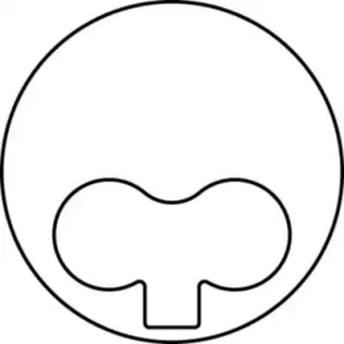 Piston MAHLE 681 13 02