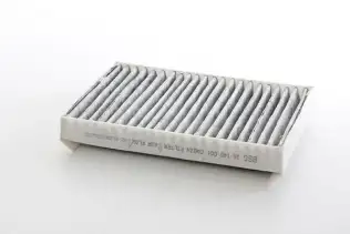 Polen Filtresi  BSG 16-145-001