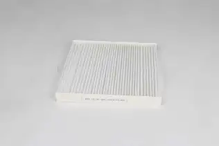 Polen Filtresi  BSG 25-145-005